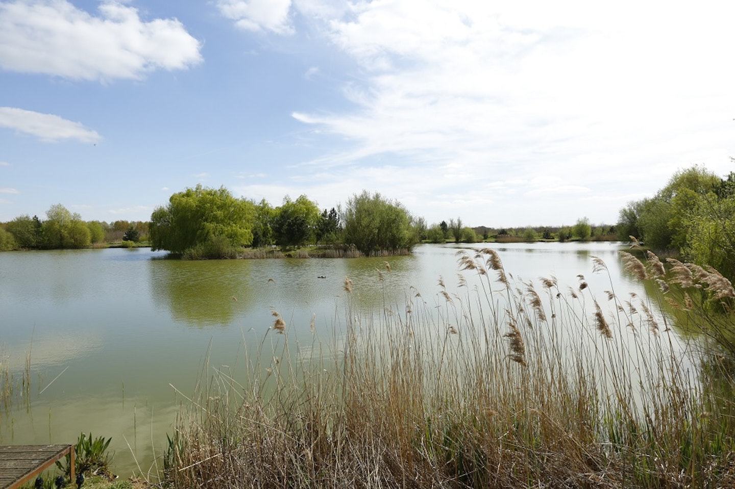 Another angle of the lake