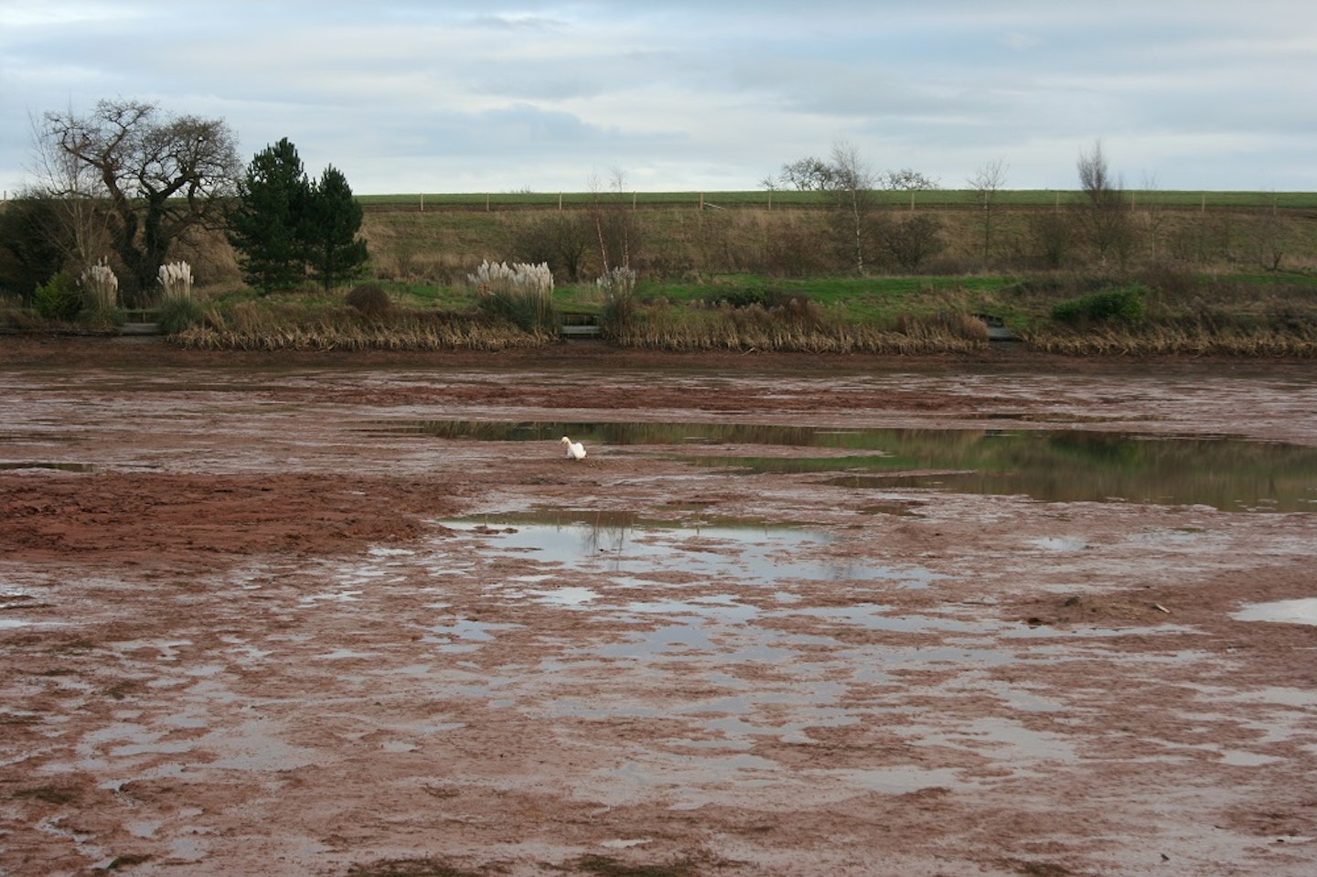 The flattened peg 6 feature. Peg 13 in distance