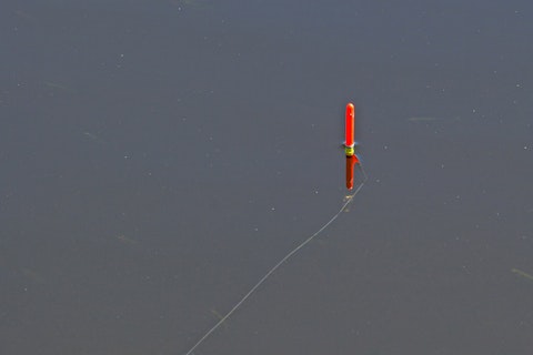 How to start fishing | A complete beginner's guide