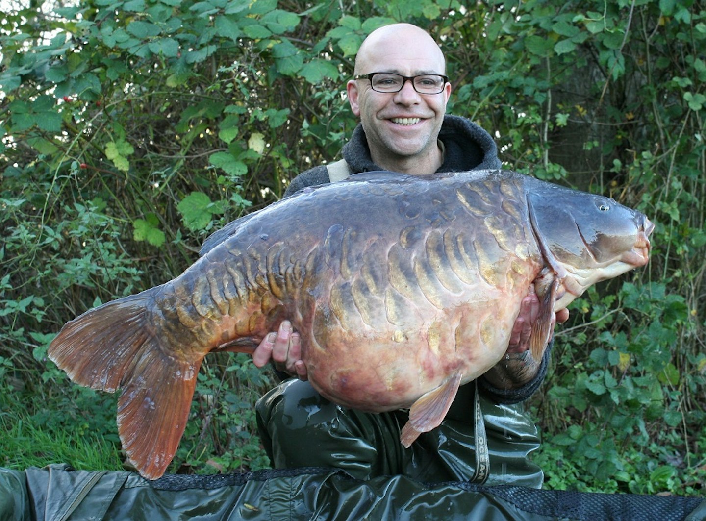 The Small Plated at 47lb