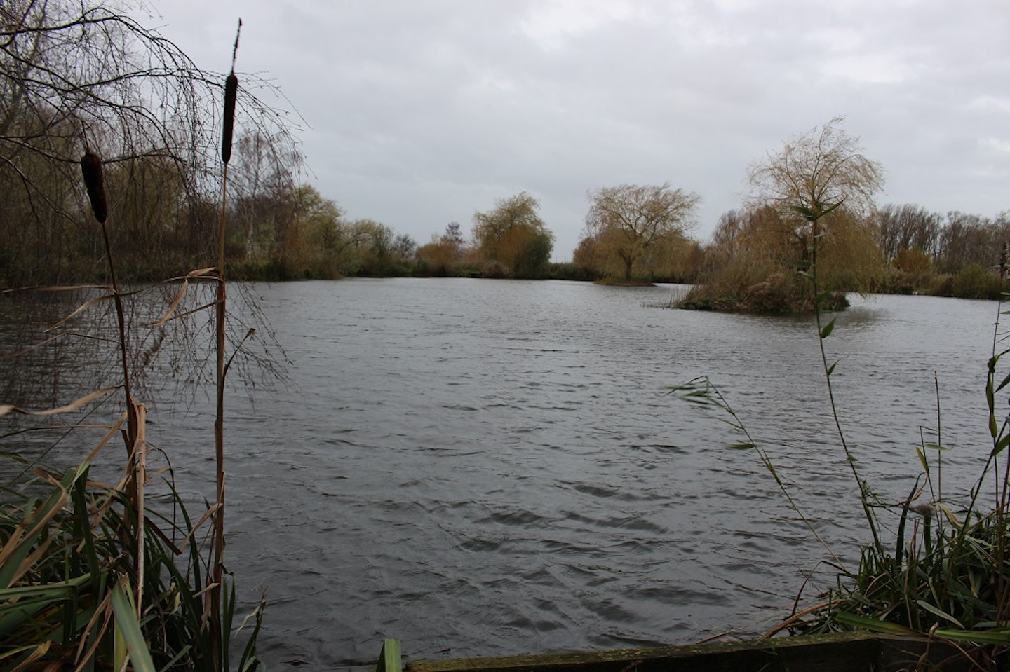 Looking down the lake