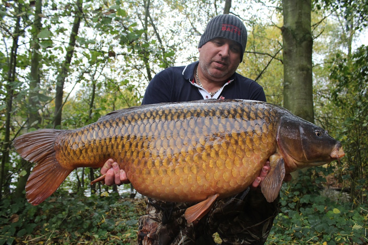 46lb Kingfisher common