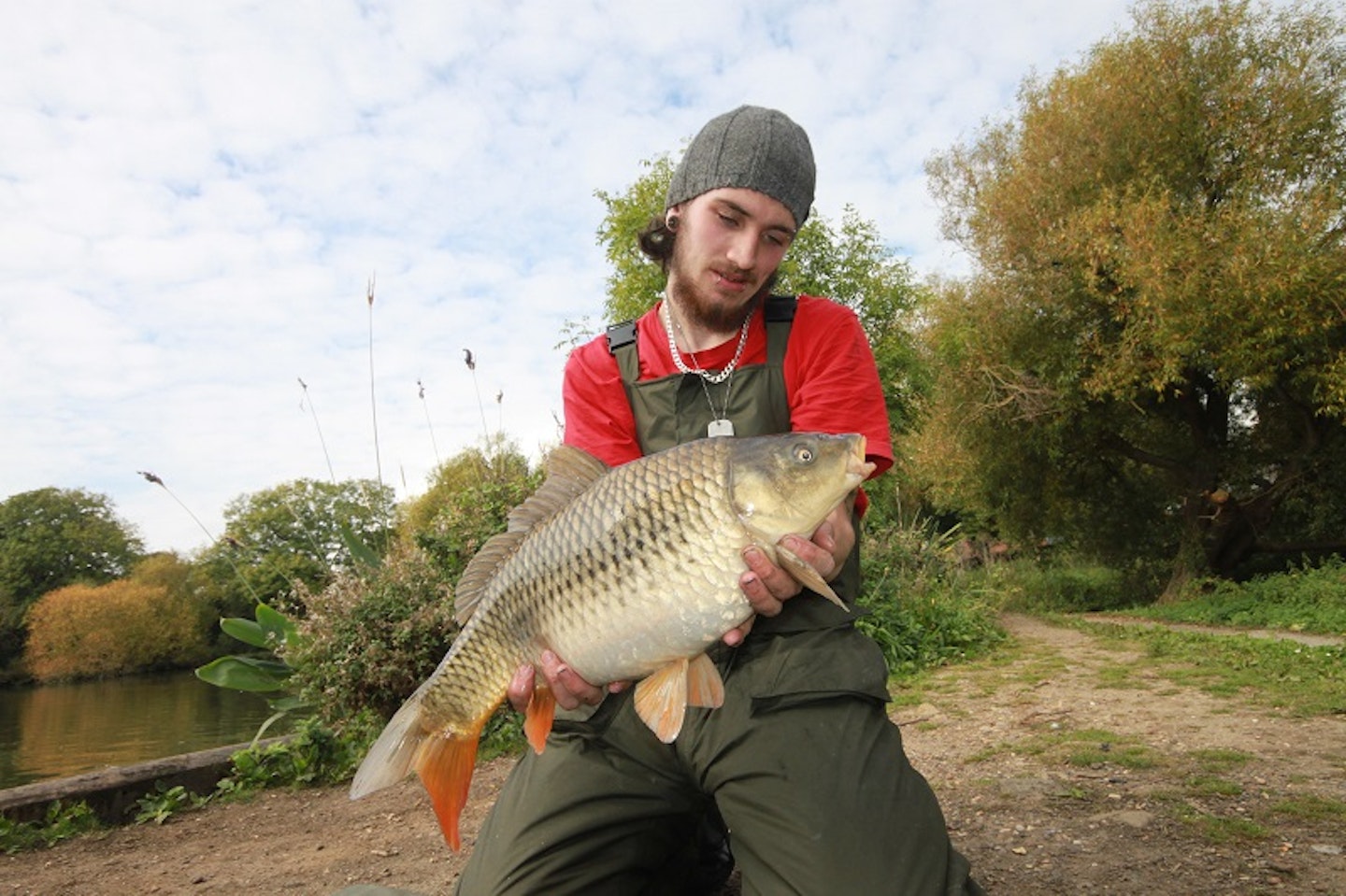 A typical Rochford common