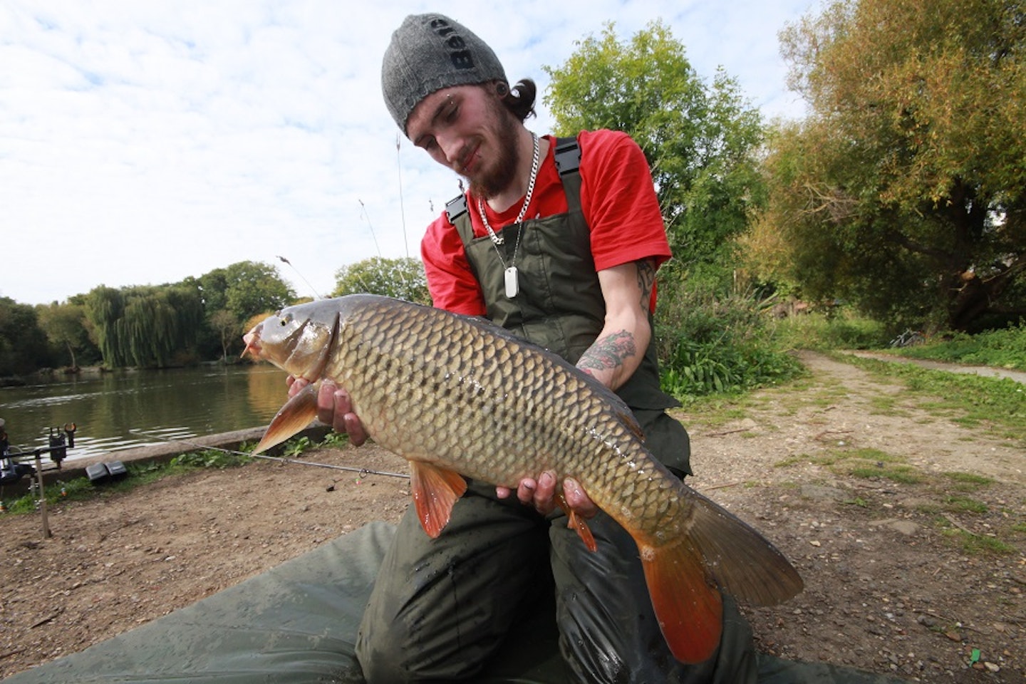 A Rochford common