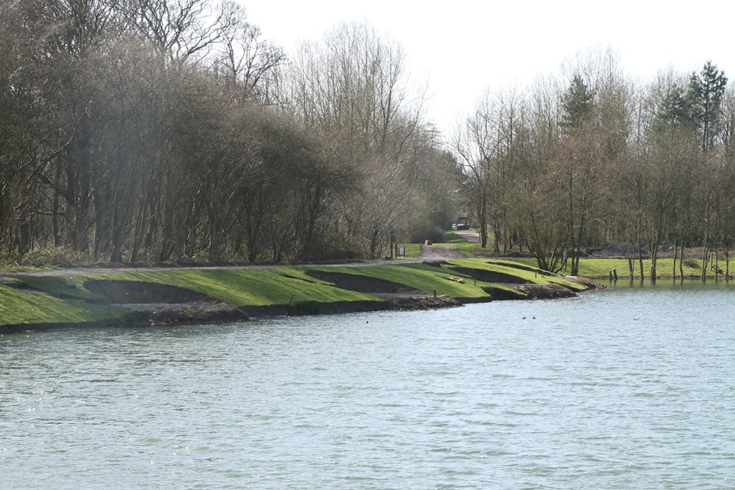 Looking along the southern bank