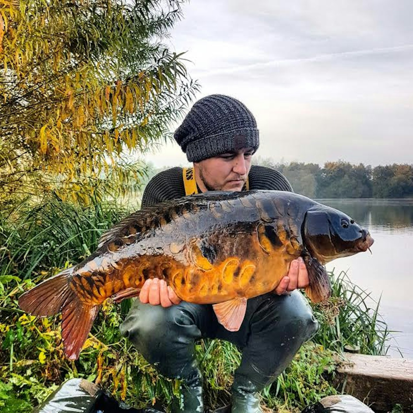 24lb 5oz