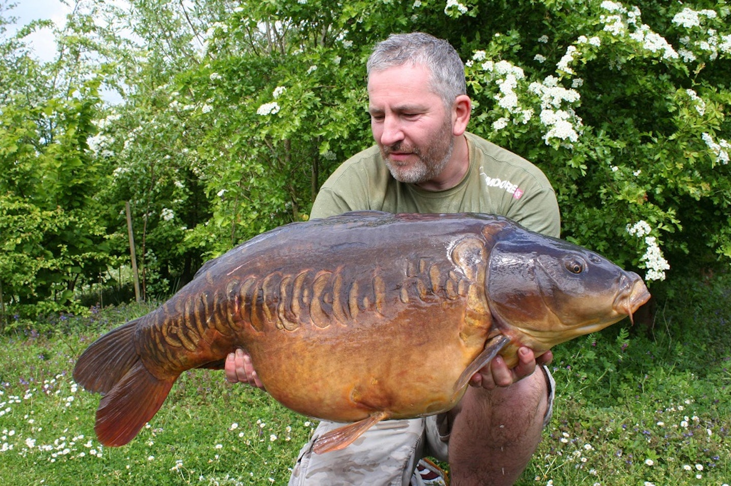 Kempy's Linear is a Manor stunner