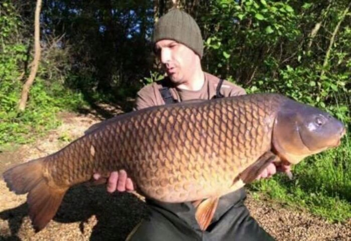 Lake-record common at 33lb 6oz