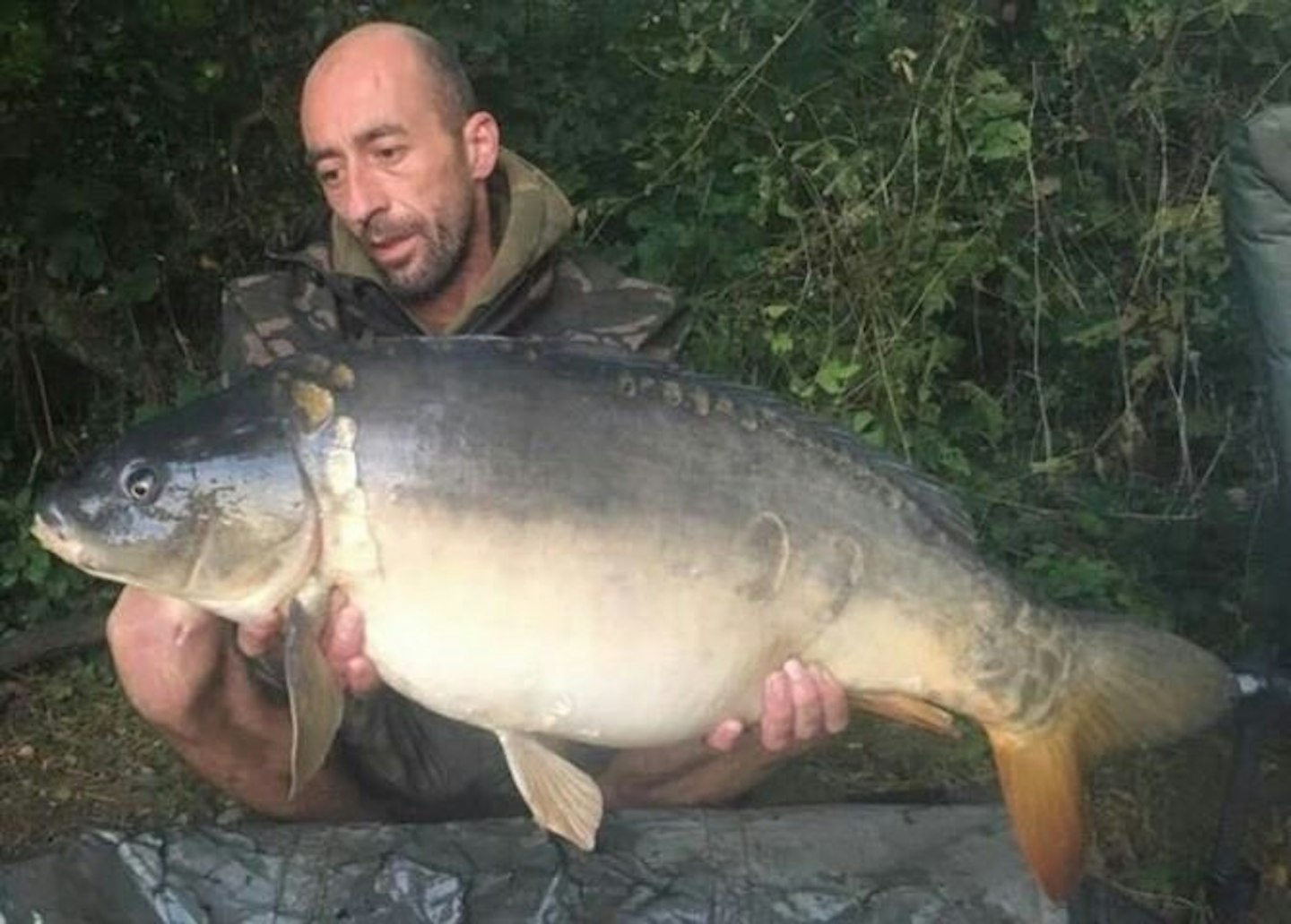 Lake-record mirror at 31lb