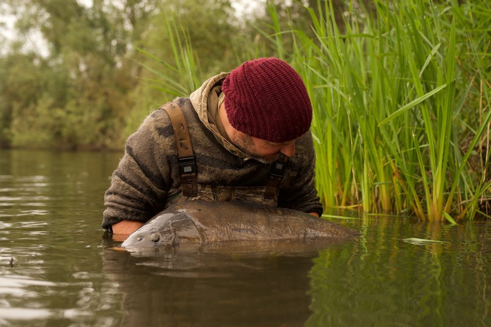 The carp fishing calendar Adam Penning Angling Times