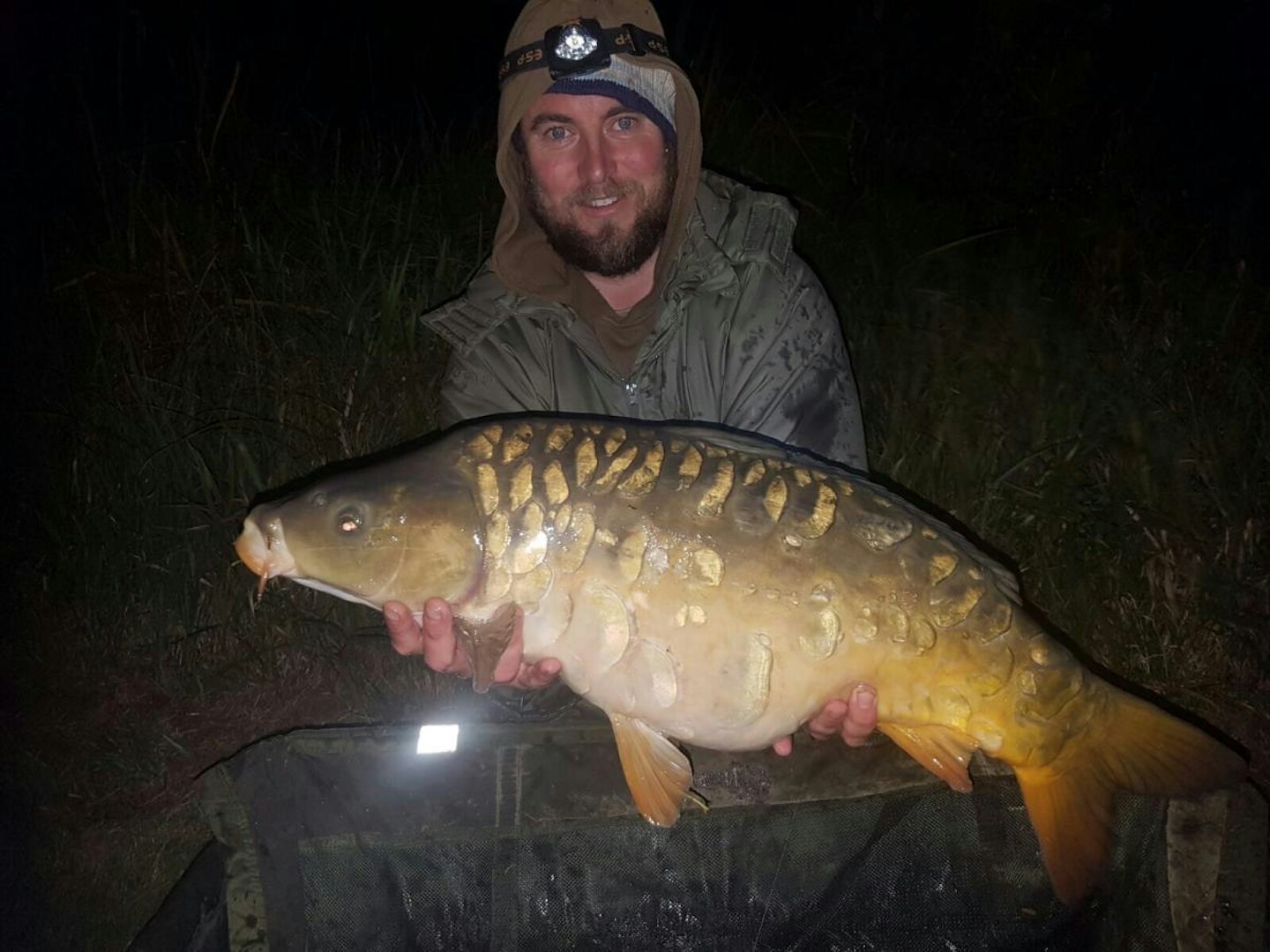 18lb