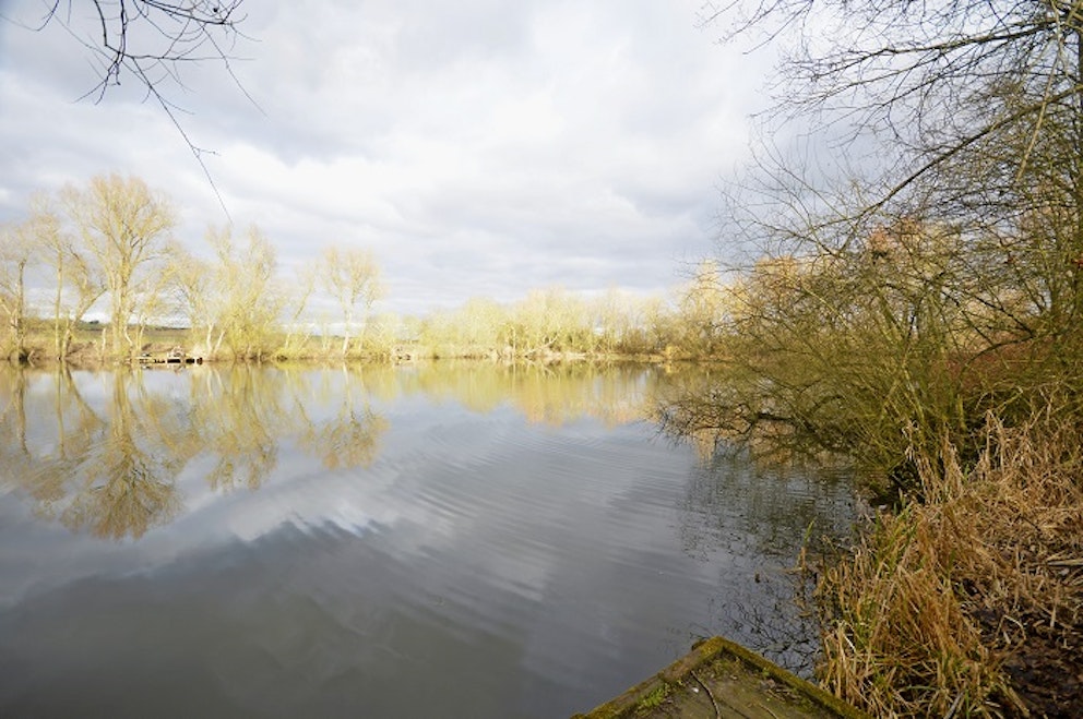 Willowbrook Lake Angling Times