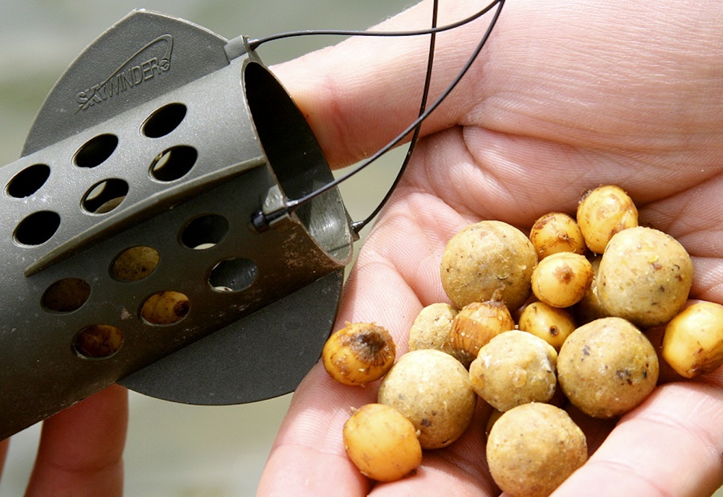 How to fish for carp with nuts