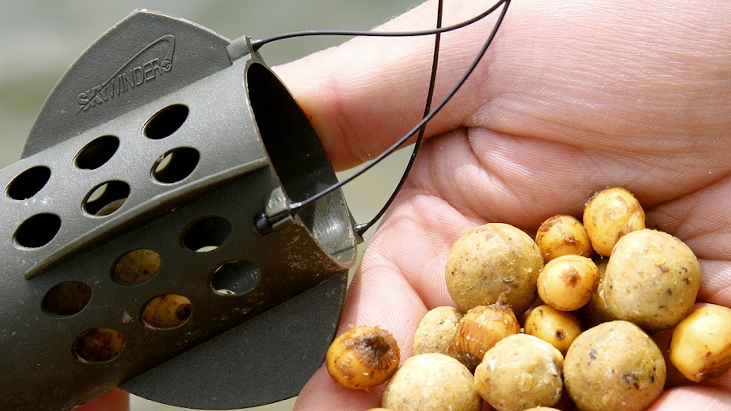 How to fish for carp with nuts: a complete guide