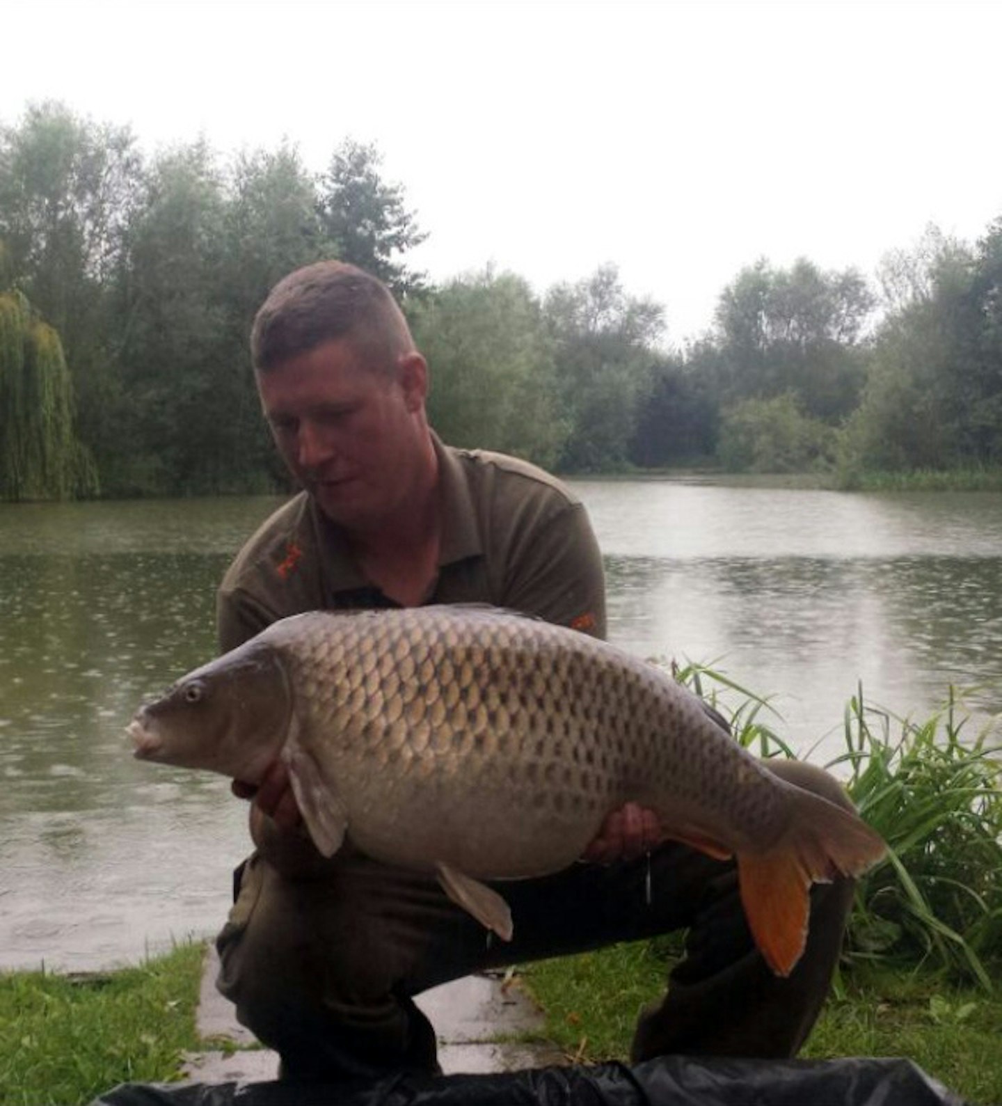 22lb common