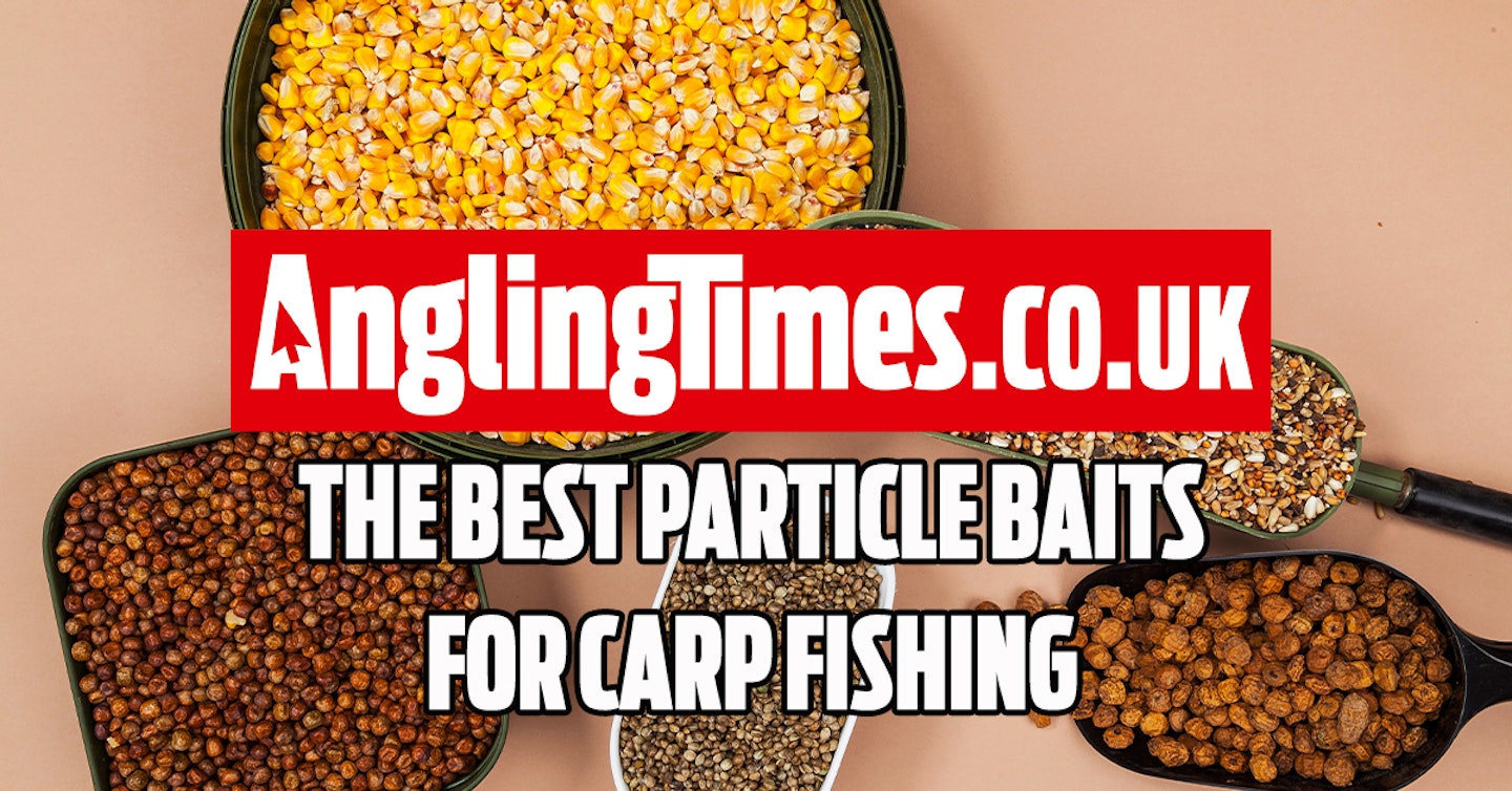 The best particle baits for carp fishing and how to use them