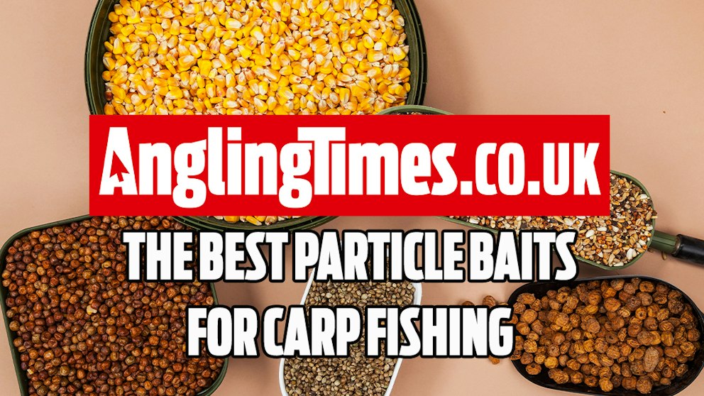 Using Bait Powder The best particle baits for carp fishing and how to use them | Angling ...