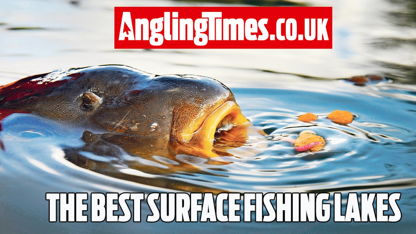 Fishing near me: The best carp lakes for surface fishing