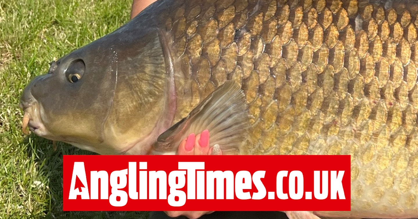 Big carp gives epic battle after being hooked on 9m fishing pole