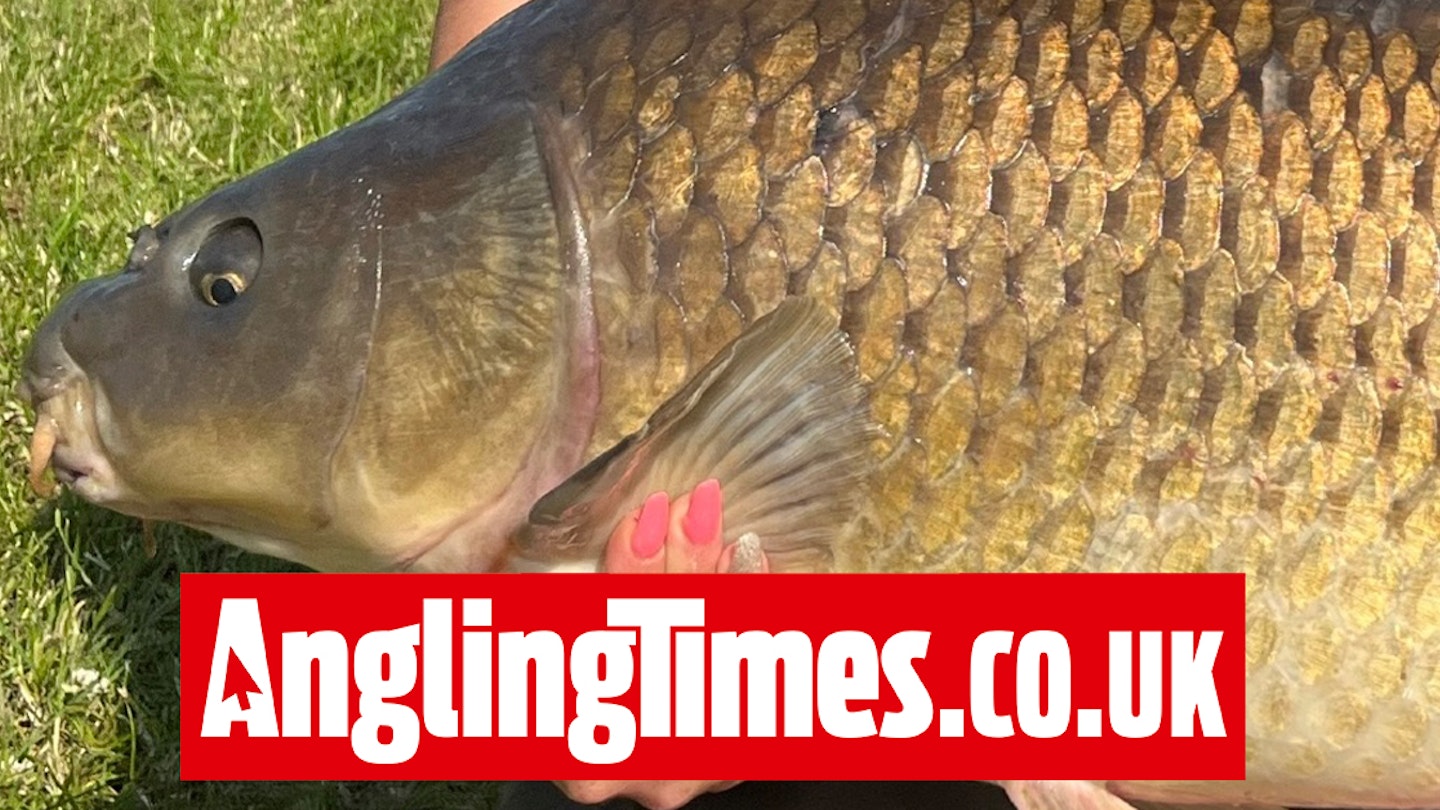 Big carp gives epic battle after being hooked on 9m fishing pole | Angling Times Big carp gives epic battle after being hooked on 9m fishing pole | Angling Times