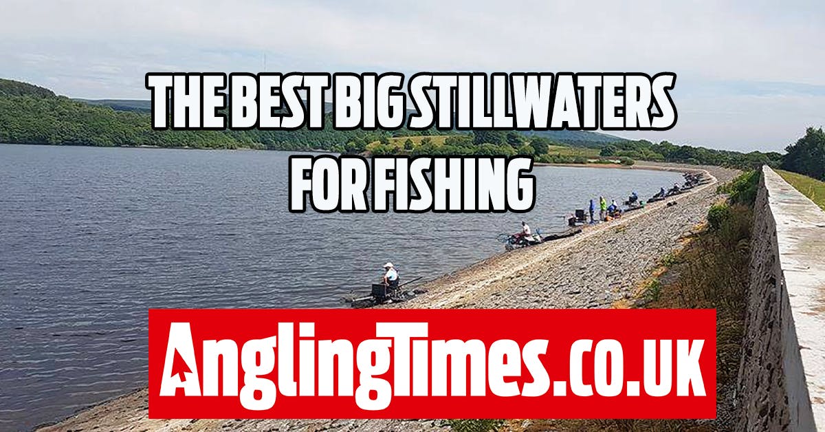 Fishing near me 10 of the best big stillwaters Angling Times