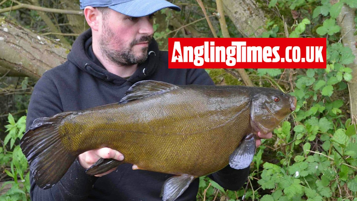 Spring Tench Rigs Tench specialist hits superb run of form | Angling Times
