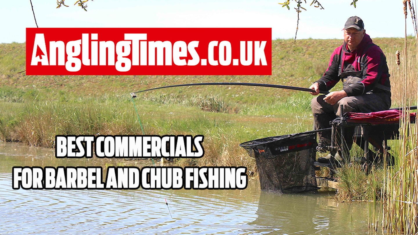 Fishing near me: Top 10 commercials to catch barbel and chub