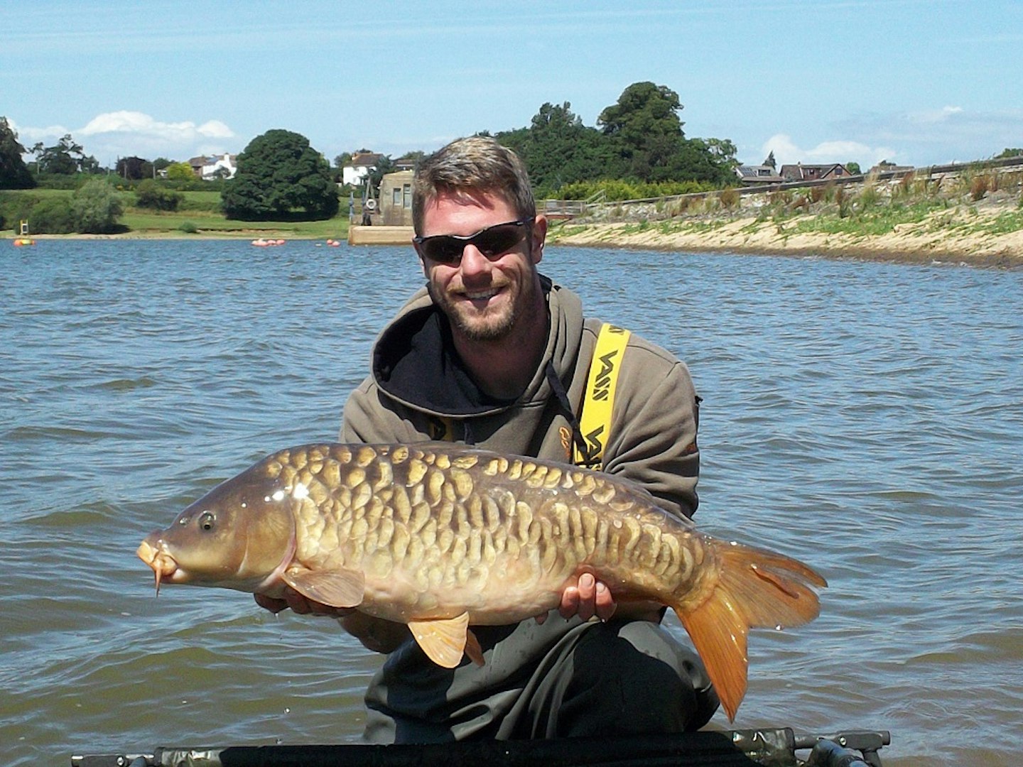 A scaly 20