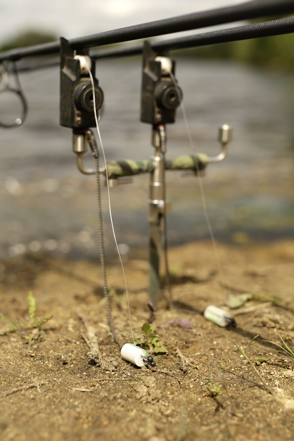 When to use tight or slack lines for carp fishing Angling Times