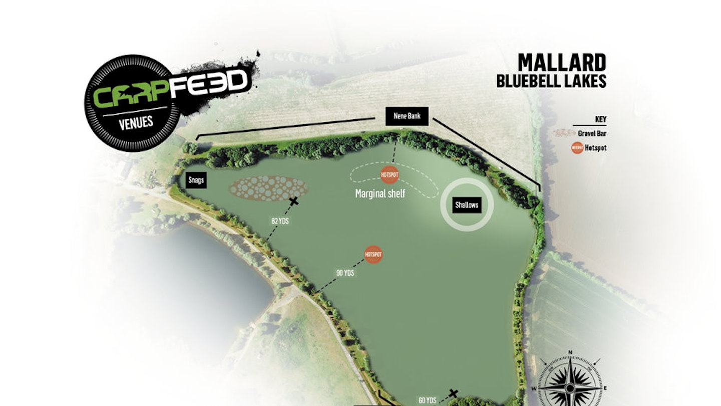 Bluebell Mallard Lake