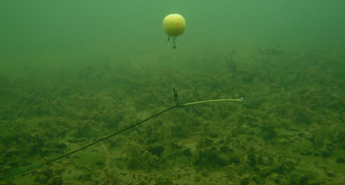 How to fish chod rigs perfectly every time Angling Times