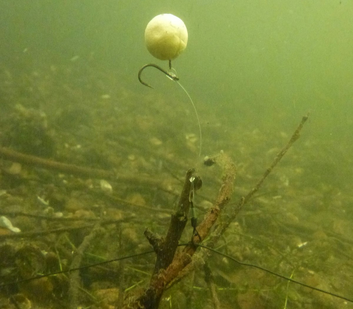 How to fish chod rigs perfectly every time Angling Times
