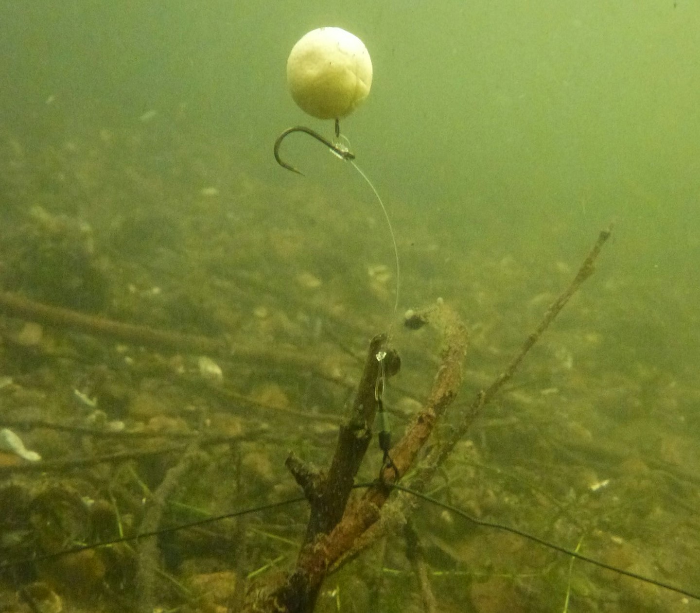 How to fish chod rigs perfectly every time