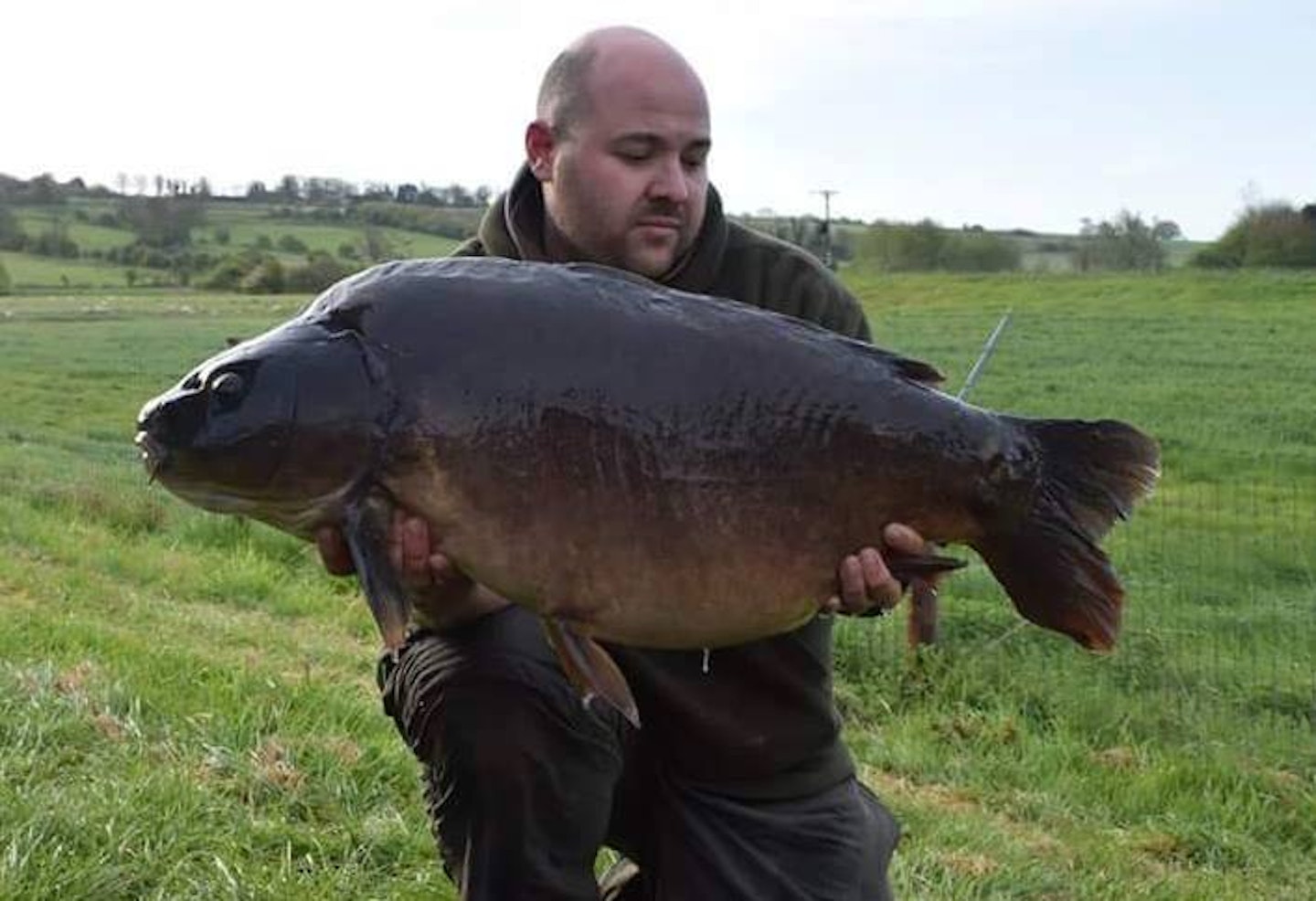 Zeus at 38lb