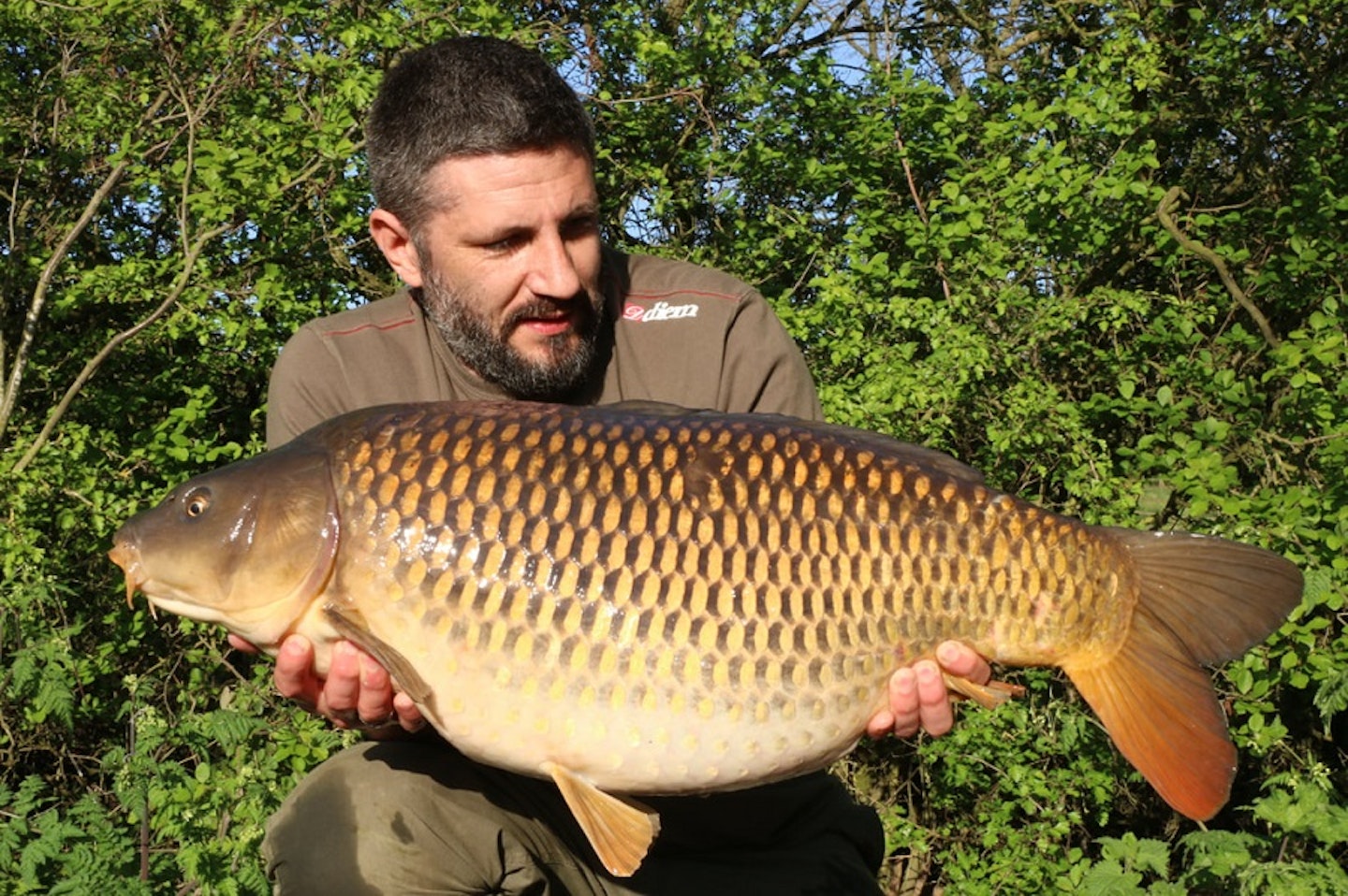 The lake's biggest resident at 28lb (has reached 29lb)
