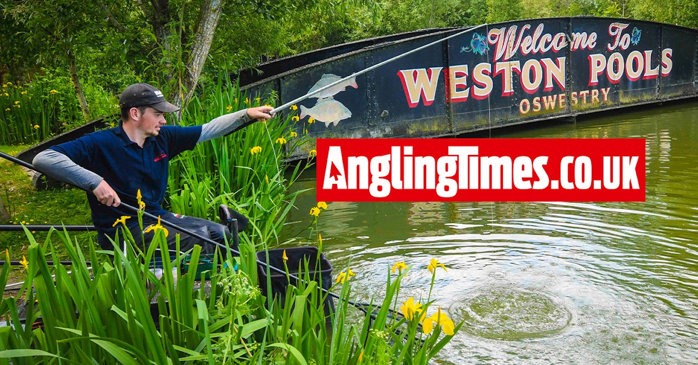 Could this angler win match fishing's treble?