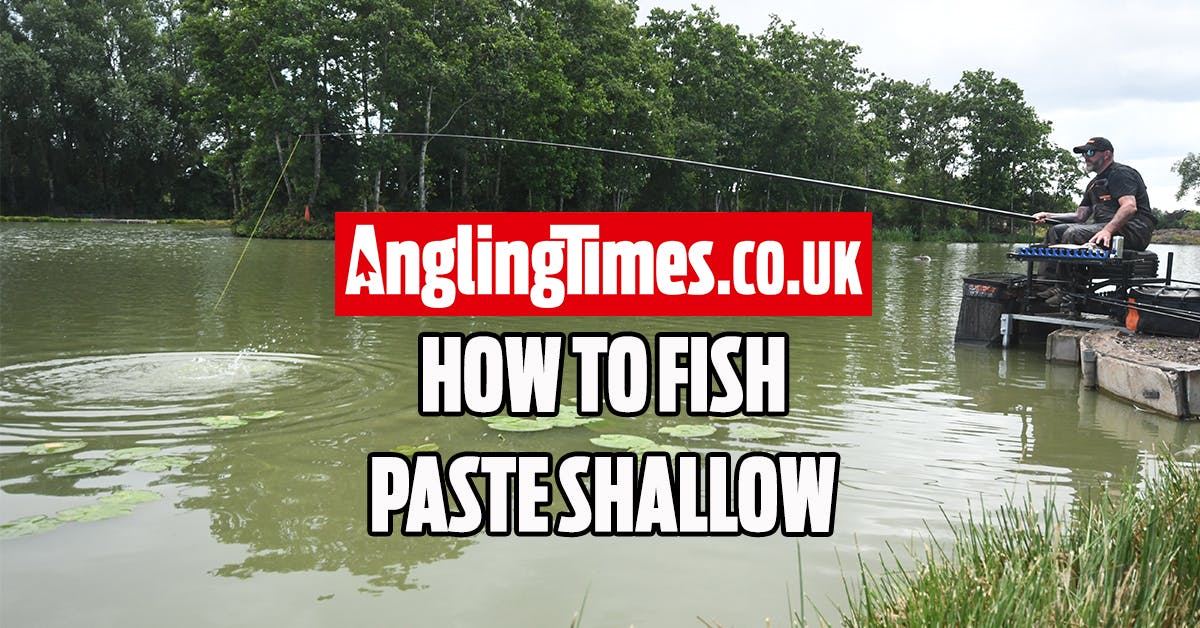6 Tips for fishing paste shallow Angling Times