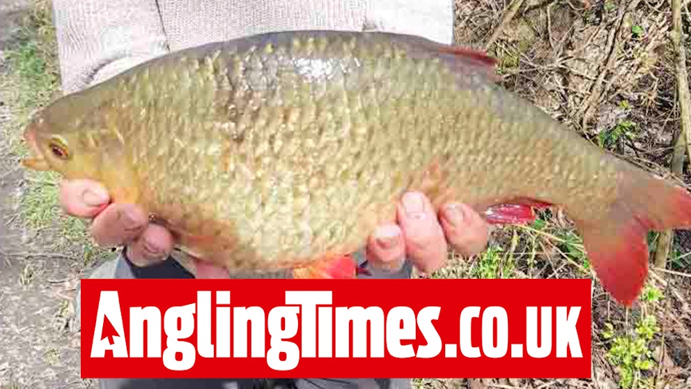 Angler ‘does not want record’ after catching monster 5lb-plus rudd ...