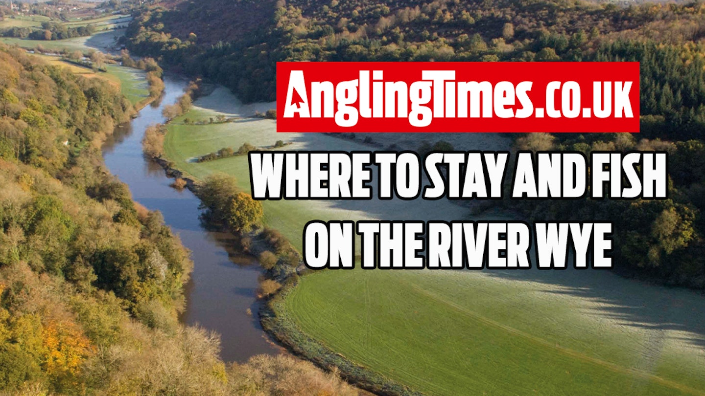 Fishing holidays: The best places to stay and fish on the River Wye