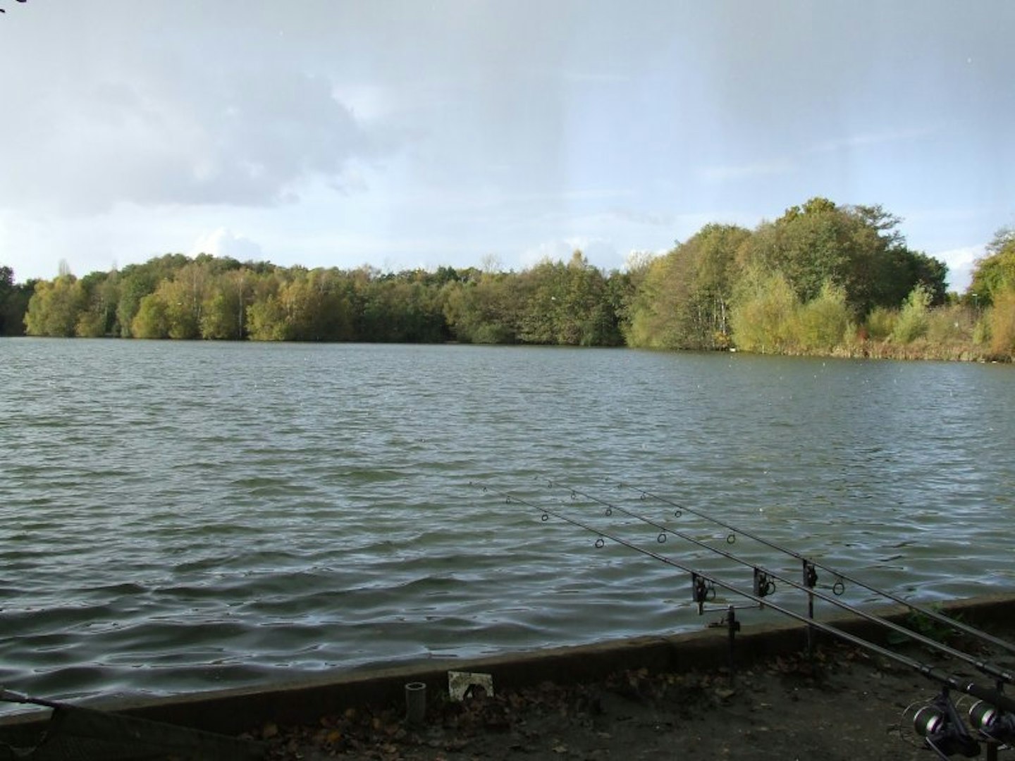 A view across the lake