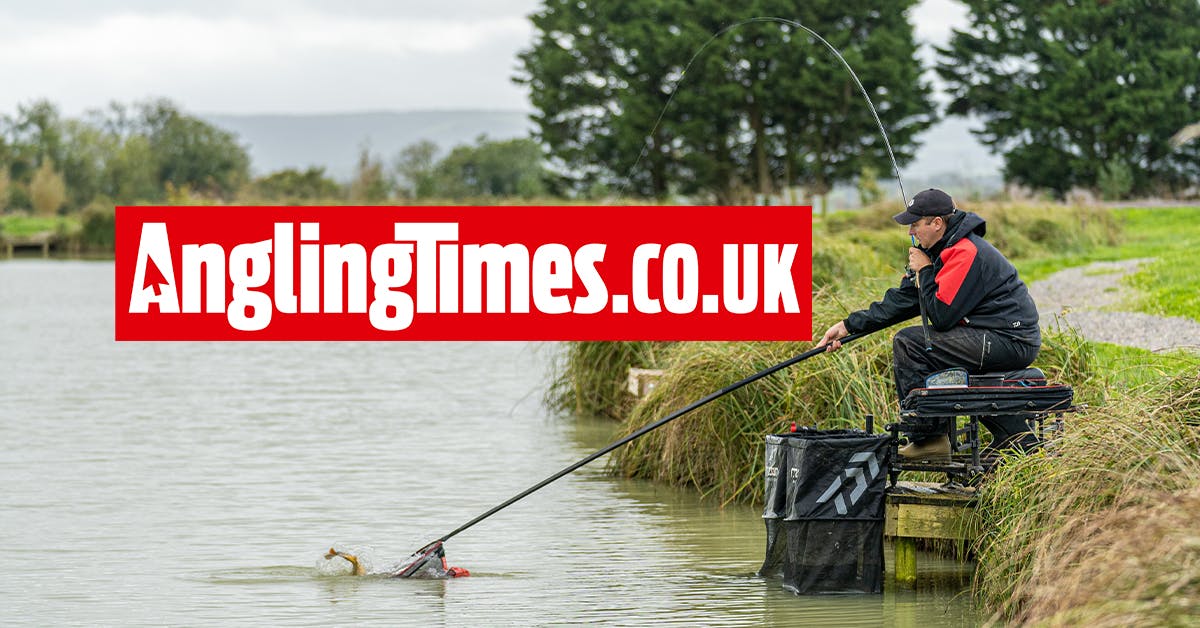 Todber Manor match record obliterated with over 800lb of carp landed in