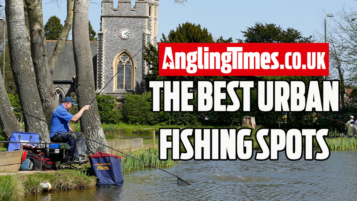Fishing near me: The best accessible urban venues