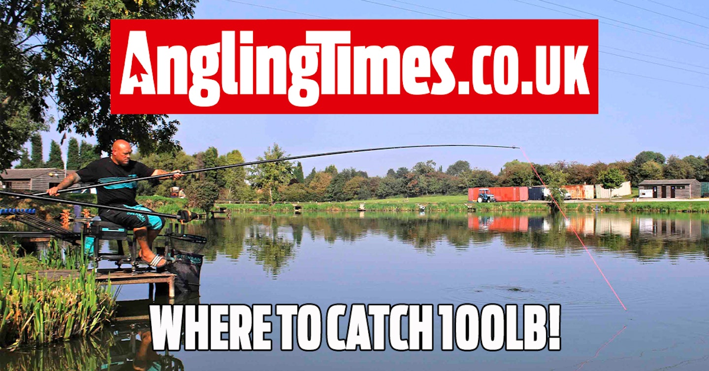 Fishing near me: Best venues to catch over 100lb of fish in a session