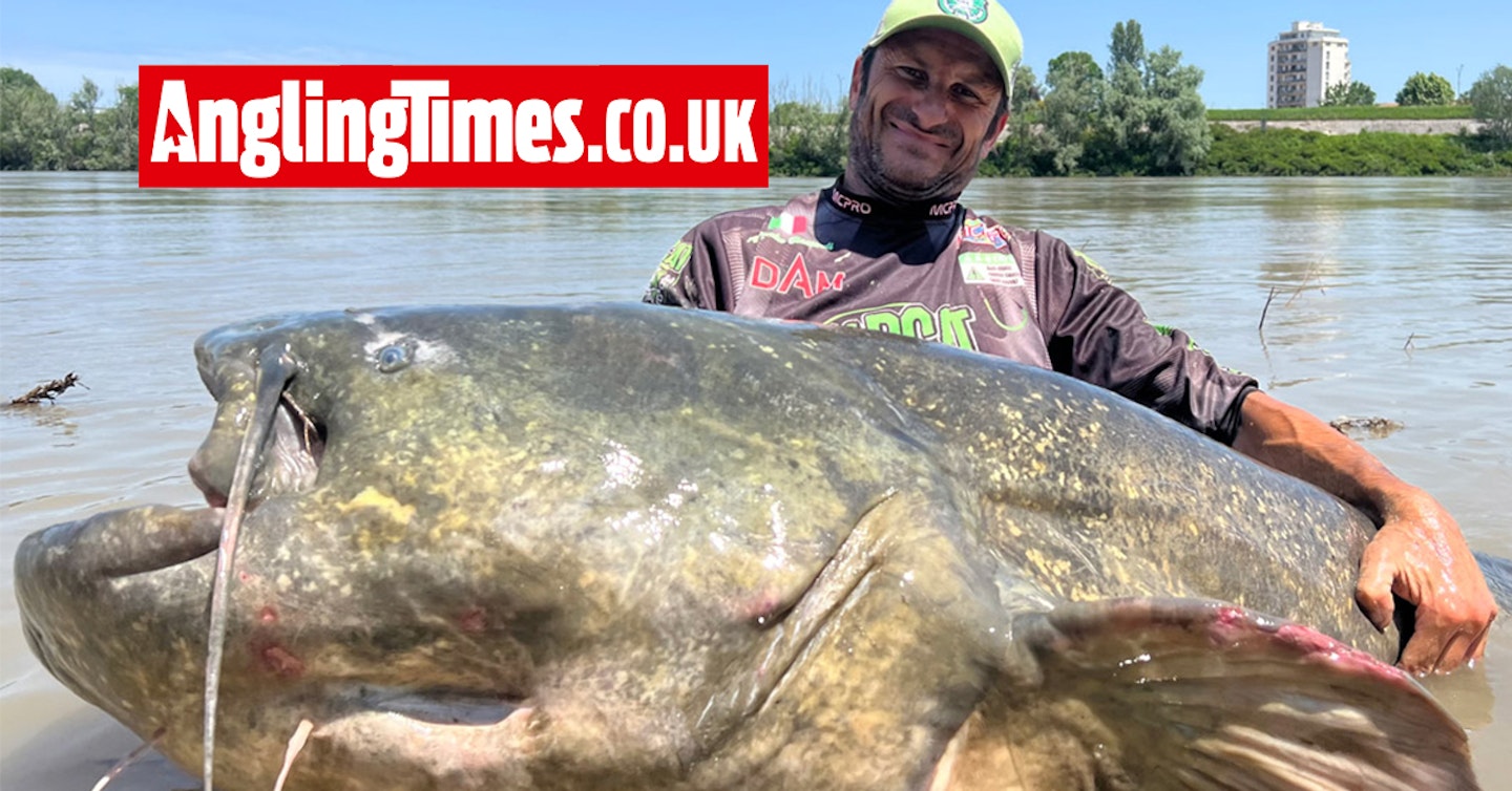 World record catfish banked on 15cm lure!