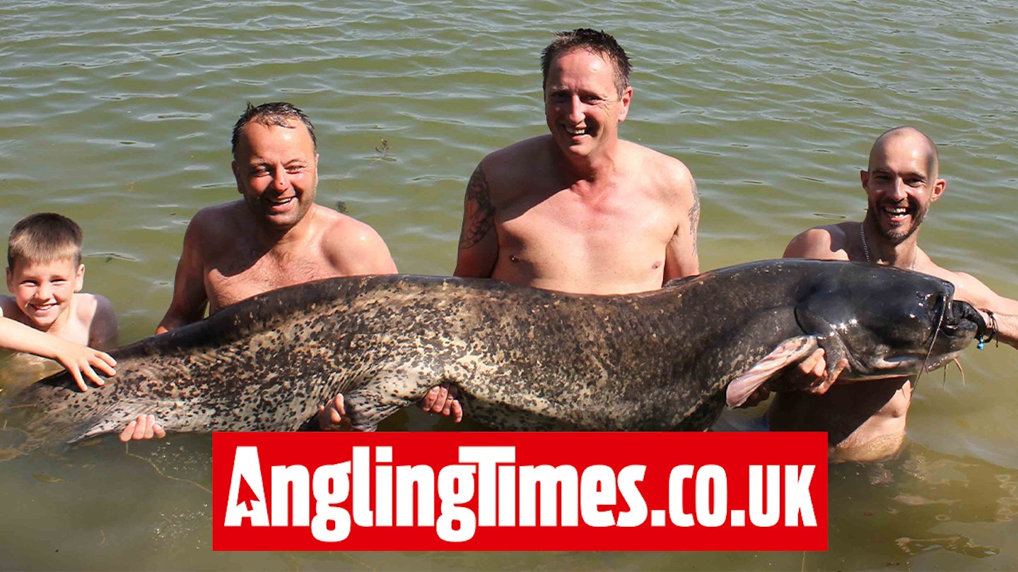 First UK catfish fishing trip produces 135lb giant