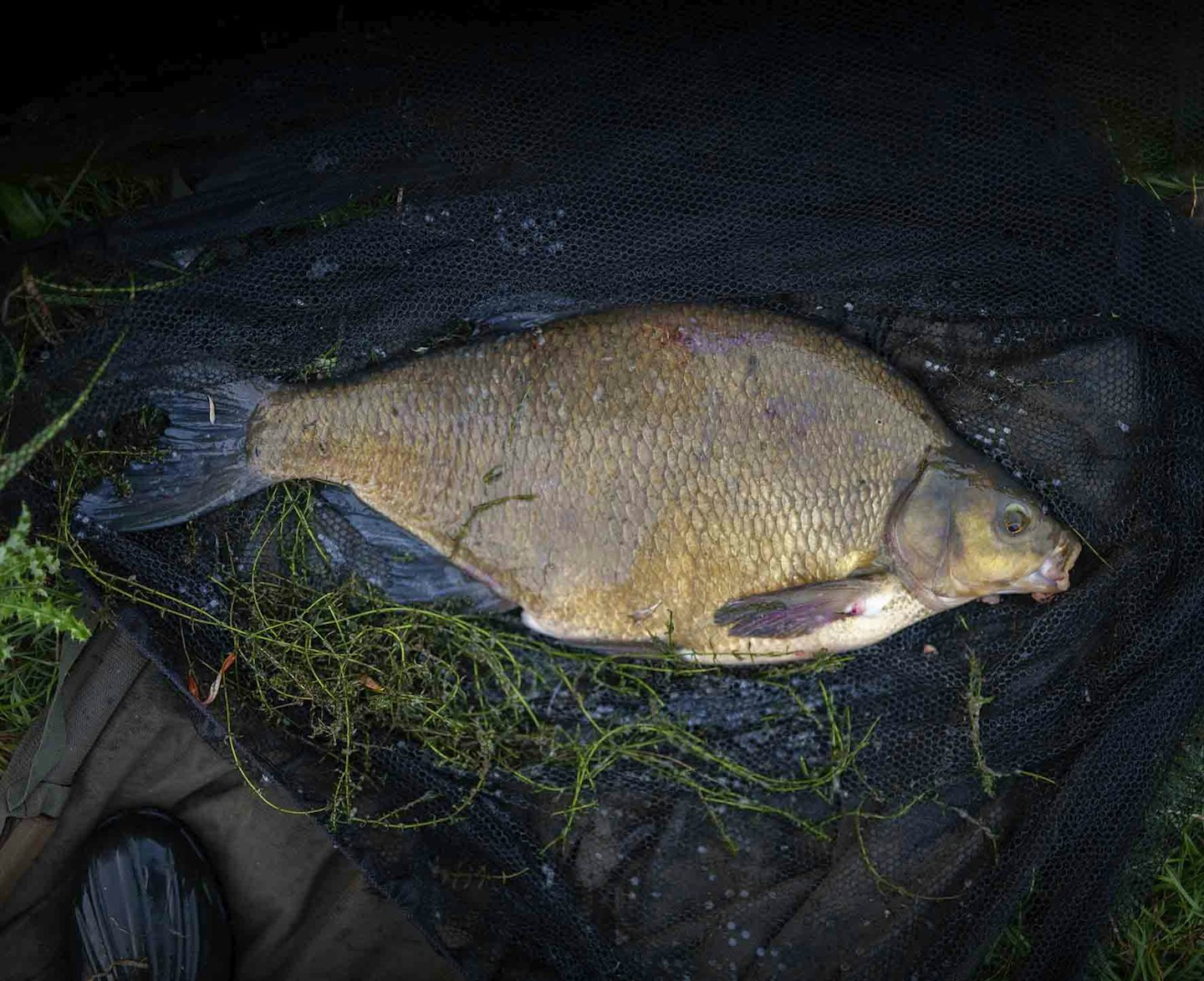 Modern angling slang what does it all mean? Angling Times