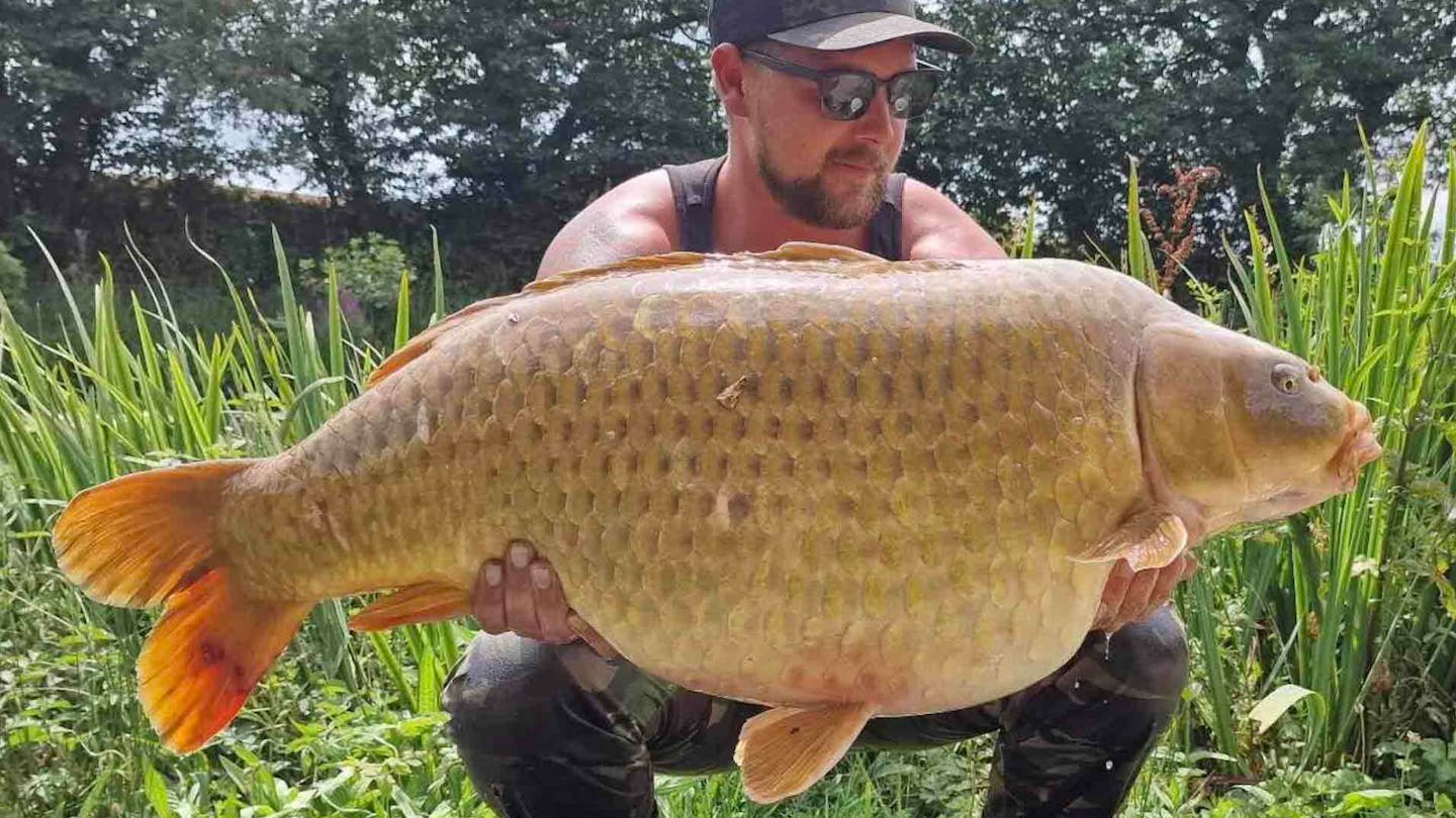 Cornwall s Biggest Carp Is Monster Ghostie Angling Times Cornwall s Biggest Carp Is Monster Ghostie Angling Times
