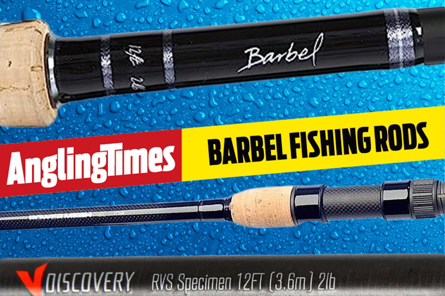 The Best Rods for Barbel Fishing