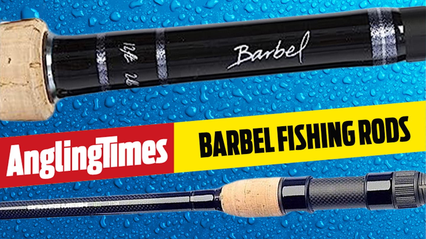 best barbel rods 2025: All budgets, styles, ranges covered