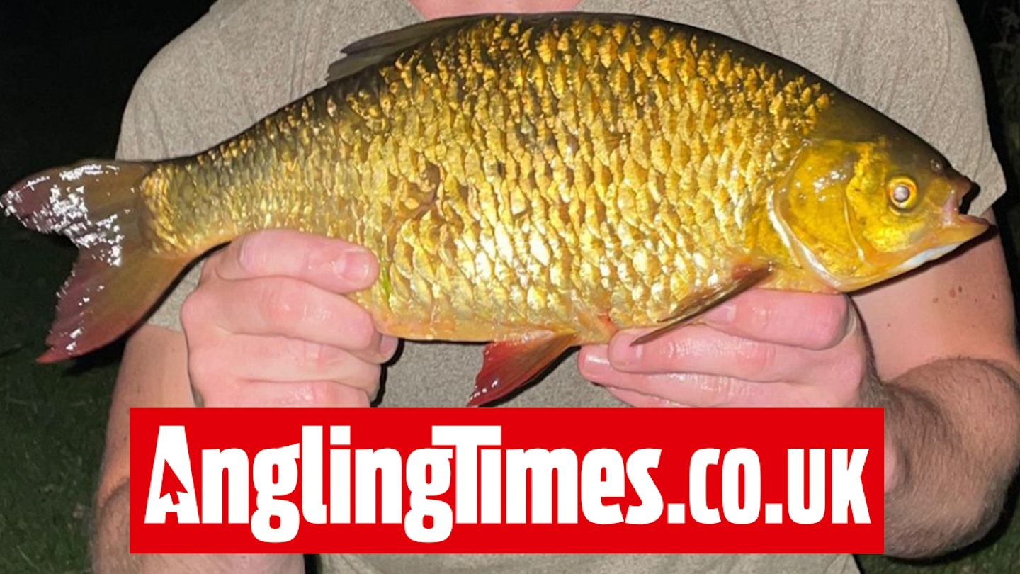 Specimen river rudd landed at night | Angling Times
